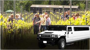 Wine Tours Vacaville