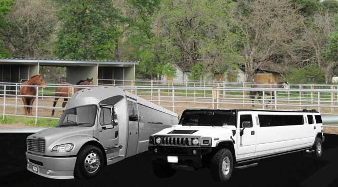 Elmira Limousine Service